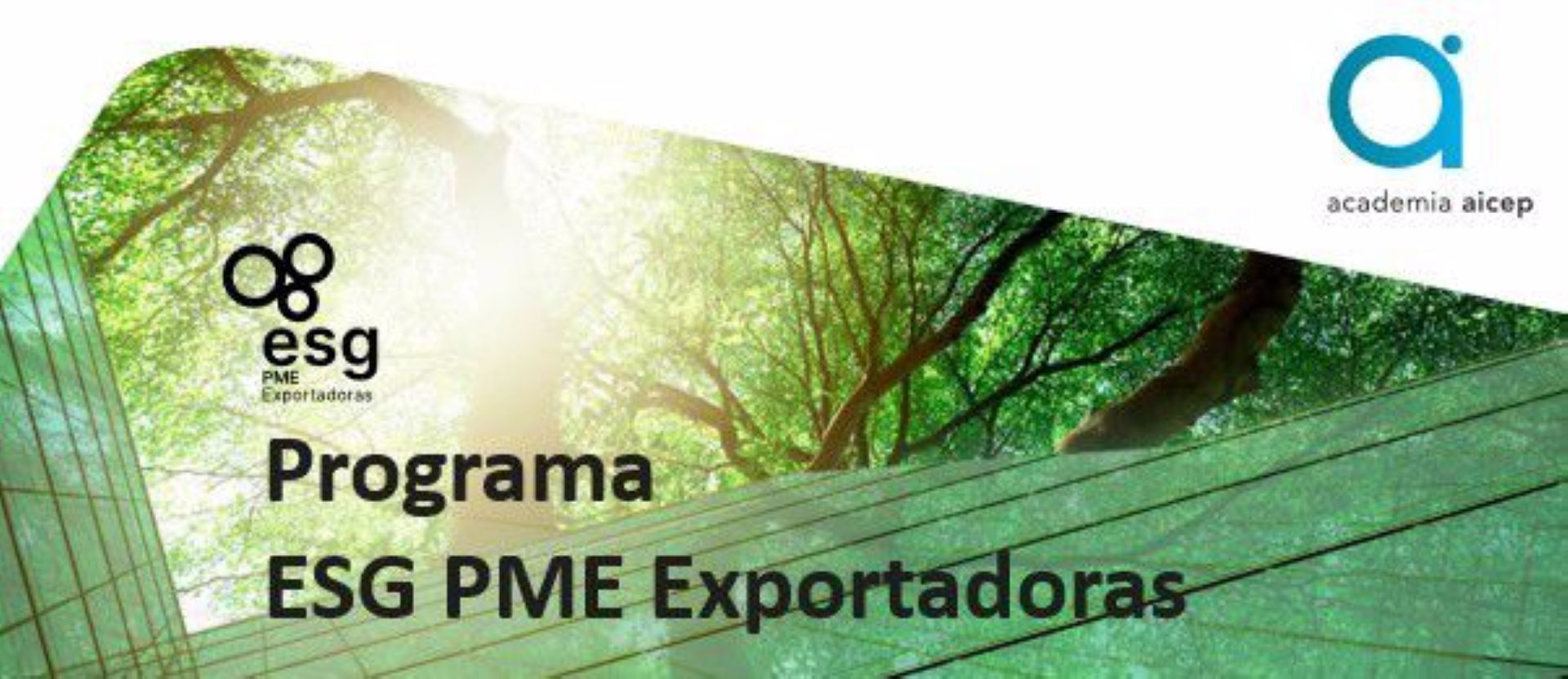 Save the Date do curso “ESG – Desenvolver & Implementar”